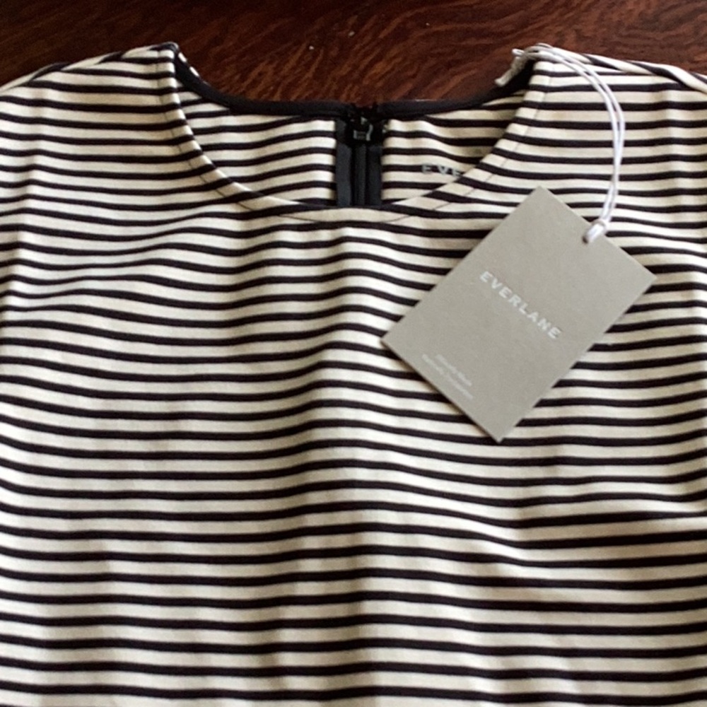 Everlane Dream Shift Sleeveless Dress Black and White Stripes - Picture 2 of 7